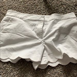 loft white scalloped dress shorts
